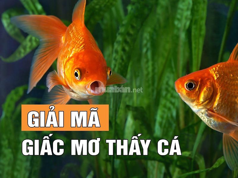 Cá trong văn hóa Việt Nam