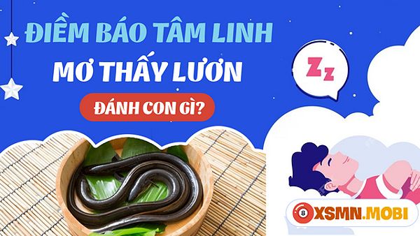 Con lươn màu vàng trong giấc mơ