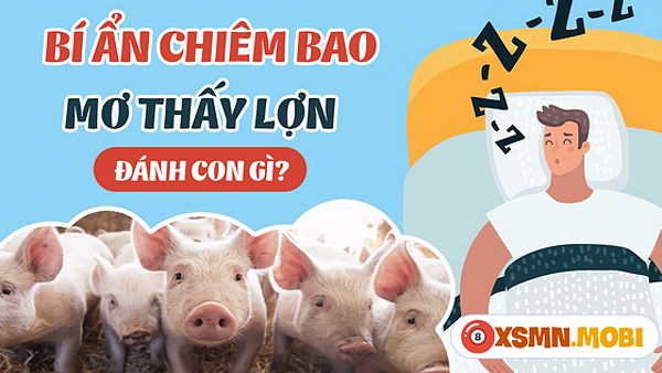 Đánh lô đề bao nhiêu nếu nằm mơ thấy con lợn