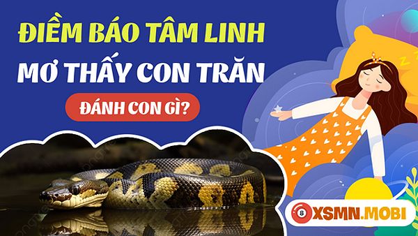 Gặp con trăn đánh số mấy