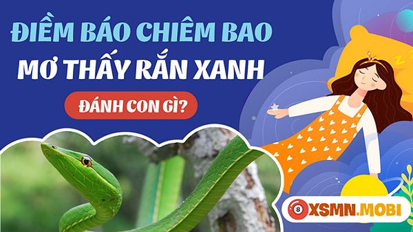 Hai con rắn xanh