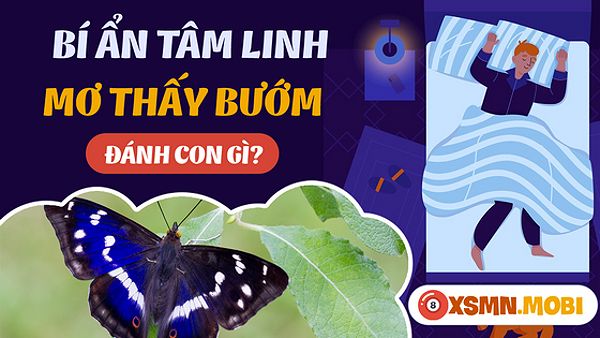 Màu sắc bướm trong giấc mơ