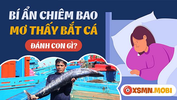 Mơ bắt cá bằng tay