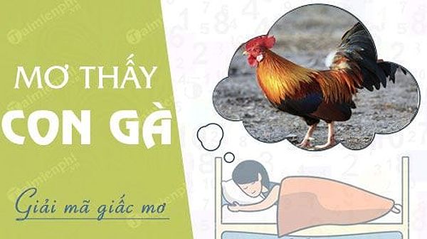 Mơ thấy gà đang ăn có ý nghĩa gì?