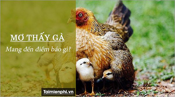 Mơ thấy hai con gà và ý nghĩa của nó