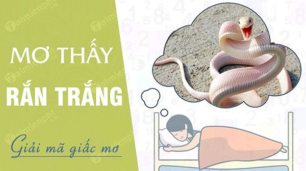 Nằm mơ thấy bạch xà