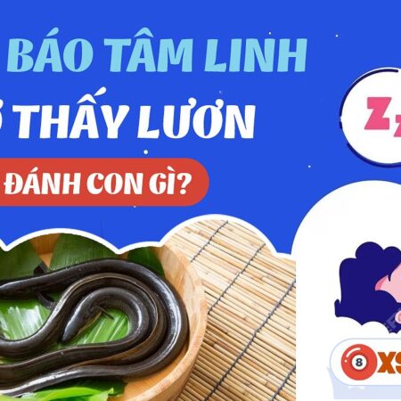 Nằm Mơ Thấy Bắt Lươn Đánh Số Gì? Giải Mã Giấc Mơ Và Con Số May Mắn