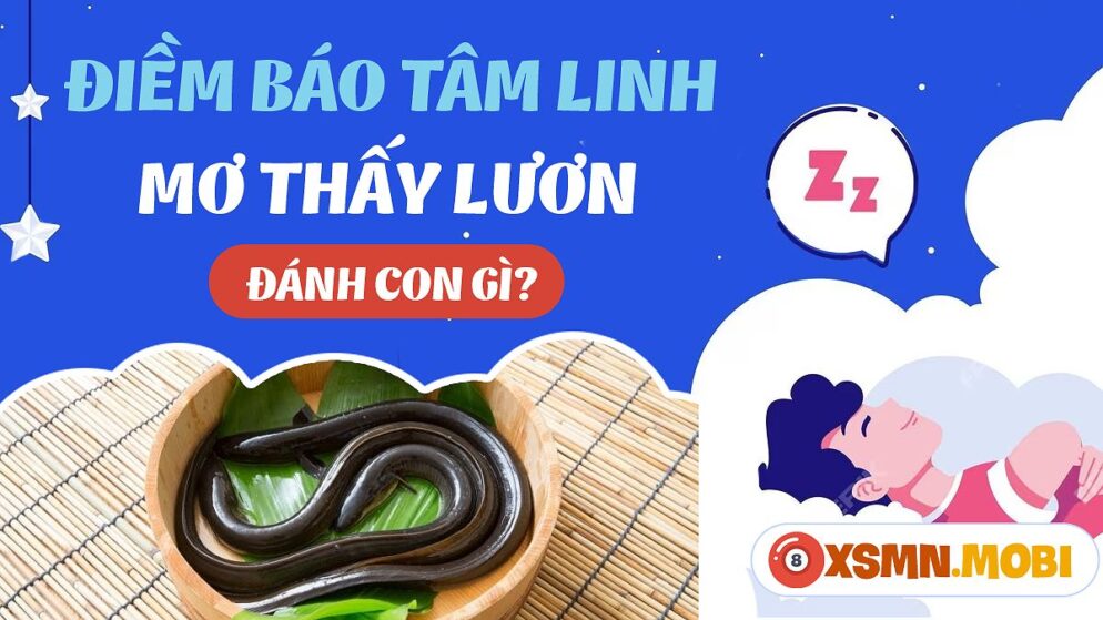 Nằm Mơ Thấy Bắt Lươn Đánh Số Gì? Giải Mã Giấc Mơ Và Con Số May Mắn