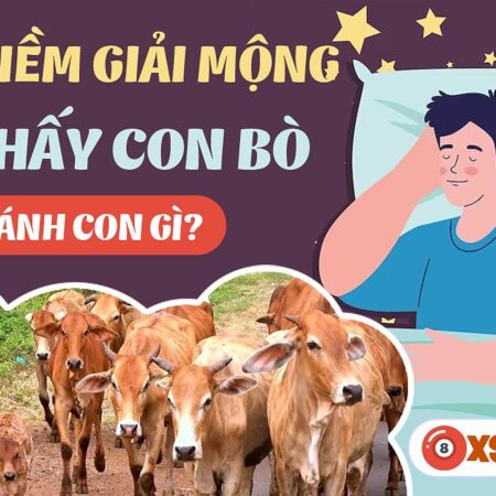 Nằm Mơ Thấy Bò Đánh Con Gì? Khám Phá Ý Nghĩa Giấc Mơ Và Bí Ẩn Số May Mắn