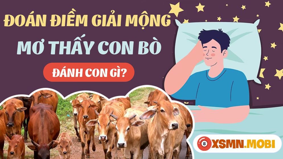 Nằm Mơ Thấy Bò Đánh Con Gì? Khám Phá Ý Nghĩa Giấc Mơ Và Bí Ẩn Số May Mắn