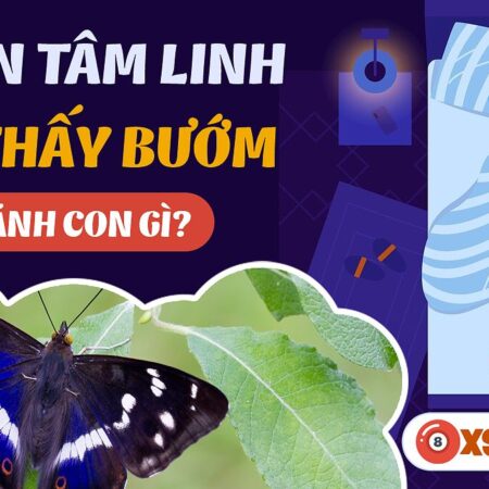 Nằm Mơ Thấy Bướm Phụ Nữ Đánh Con Gì? Giải Mã Giấc Mơ Và Con Số May Mắn