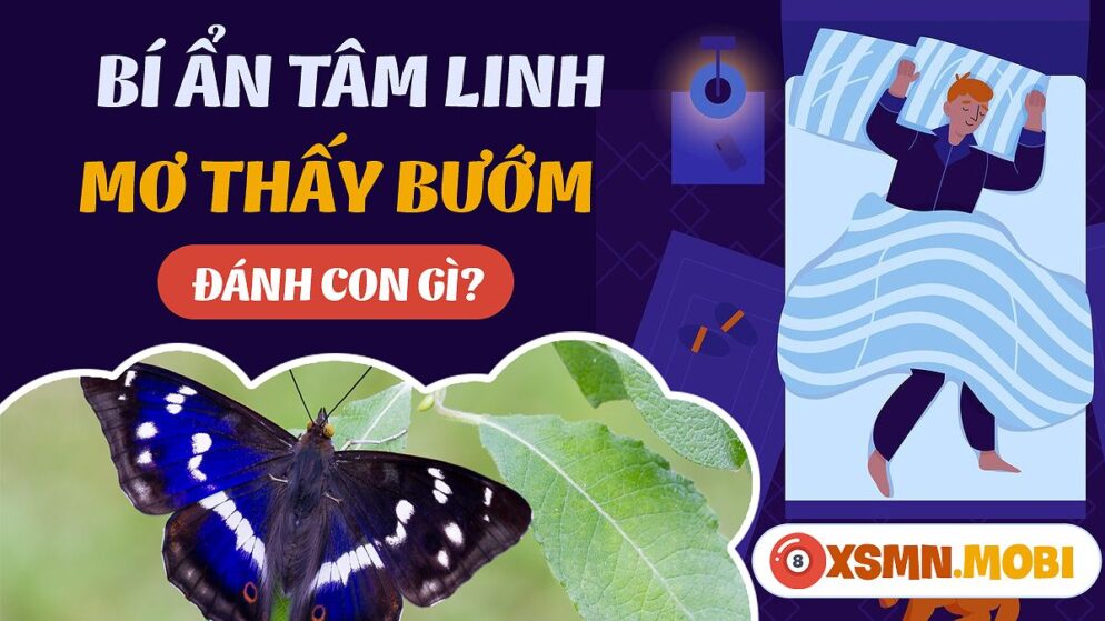 Nằm Mơ Thấy Bướm Phụ Nữ Đánh Con Gì? Giải Mã Giấc Mơ Và Con Số May Mắn