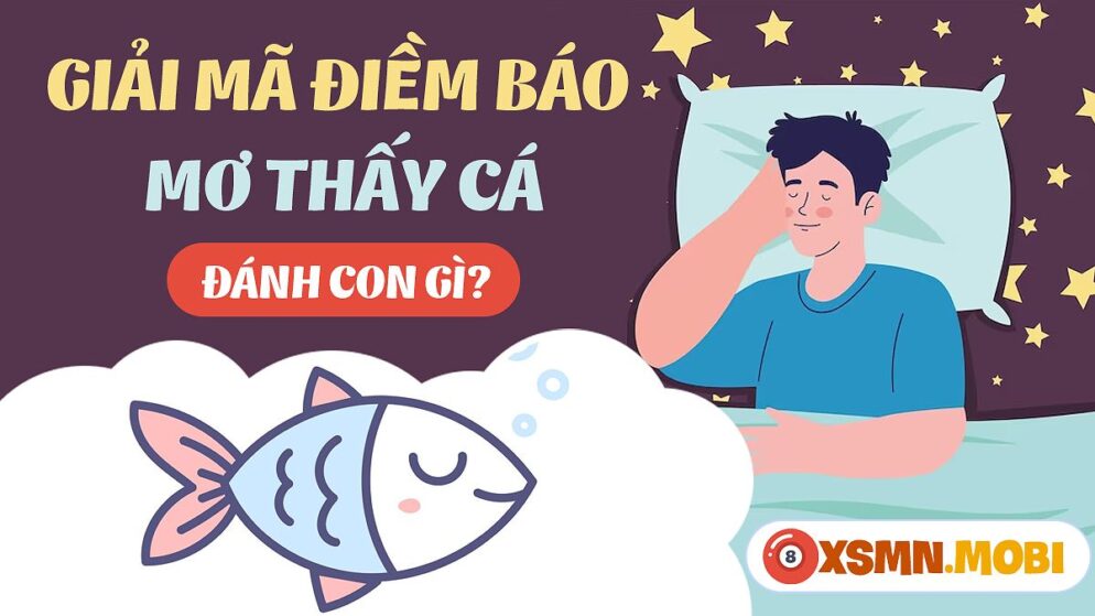 Nằm Mơ Thấy Cá Bơi Trong Nước Đánh Con Gì? Giải Mã Giấc Mơ Và Con Số May Mắn