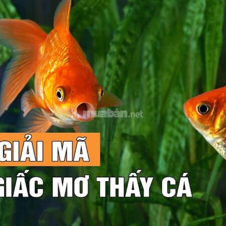 Nằm Mơ Thấy Cá Đánh Con Gì? Giải Mã Giấc Mơ Và Con Số May Mắn