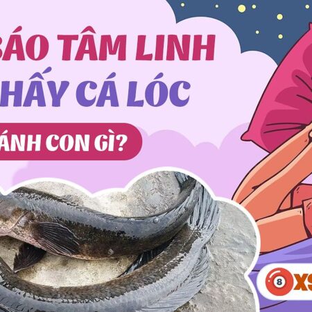 Nằm Mơ Thấy Cá Lóc Đánh Số Gì? Khám Phá Bí Ẩn Giấc Mơ Và Con Số May Mắn