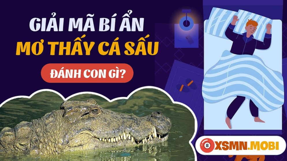 Nằm Mơ Thấy Cá Sấu Cắn Đánh Số Gì? Giải Mã Giấc Mơ Và Con Số May Mắn
