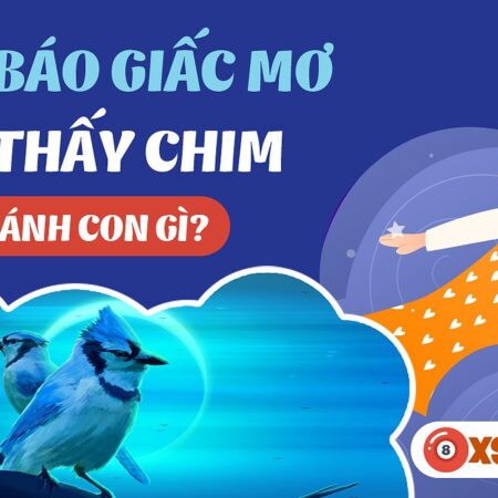 Nằm Mơ Thấy Chim Đánh Số Gì? Giải Mã Giấc Mơ Và Con Số May Mắn