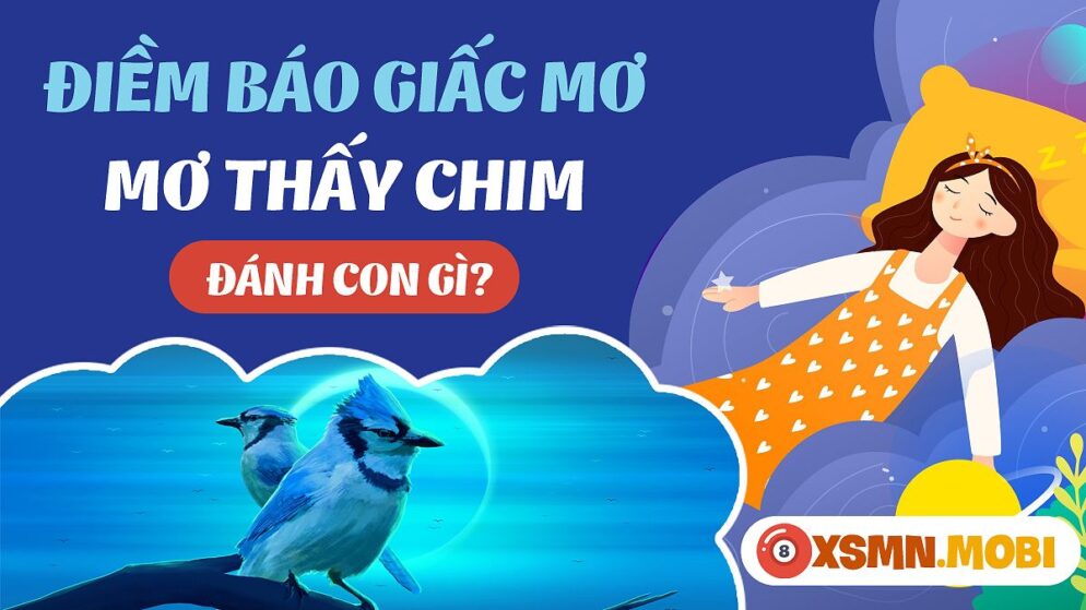 Nằm Mơ Thấy Chim Đánh Số Gì? Giải Mã Giấc Mơ Và Con Số May Mắn