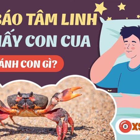 Nằm Mơ Thấy Cua Đánh Số Gì? Bí Quyết Giải Mã Giấc Mơ Và Con Số May Mắn