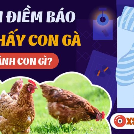 Nằm Mơ Thấy Đàn Gà Đánh Con Gì? Giải Mã Giấc Mơ Và Con Số May Mắn