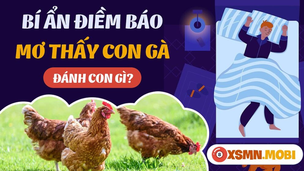 Nằm Mơ Thấy Đàn Gà Đánh Con Gì? Giải Mã Giấc Mơ Và Con Số May Mắn