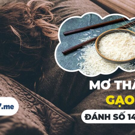 Nằm Mơ Thấy Gạo Đánh Số Gì? Giải Mã Giấc Mơ Và Con Số May Mắn