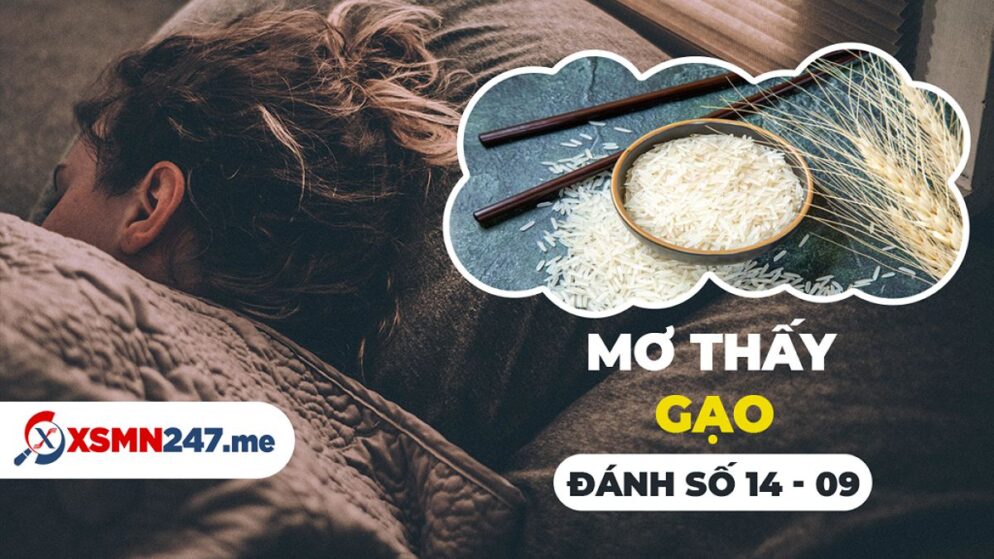 Nằm Mơ Thấy Gạo Đánh Số Gì? Giải Mã Giấc Mơ Và Con Số May Mắn