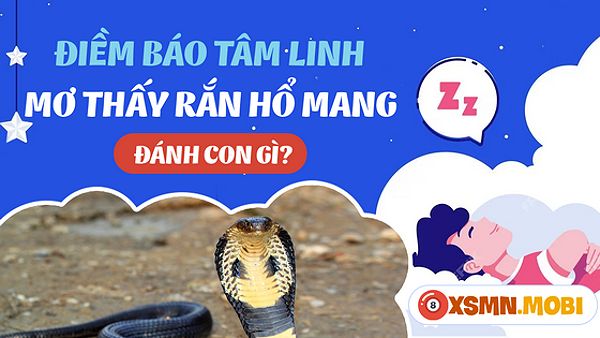 Nằm mơ thấy giết rắn hổ mang