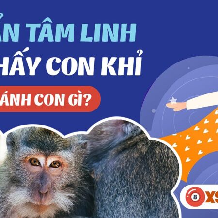 Nằm Mơ Thấy Khỉ Đánh Số Gì? Giải Mã Giấc Mơ Và Con Số May Mắn