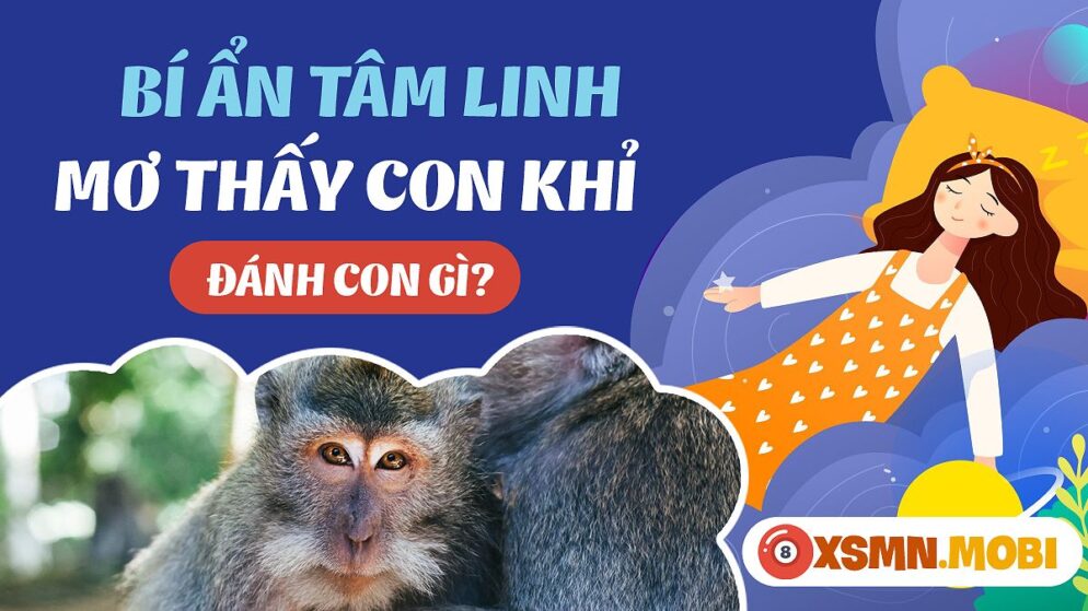 Nằm Mơ Thấy Khỉ Đánh Số Gì? Giải Mã Giấc Mơ Và Con Số May Mắn