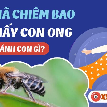 Nằm Mơ Thấy Ong Đánh Con Gì? Khám Phá Ý Nghĩa Sâu Sắc Của Giấc Mơ