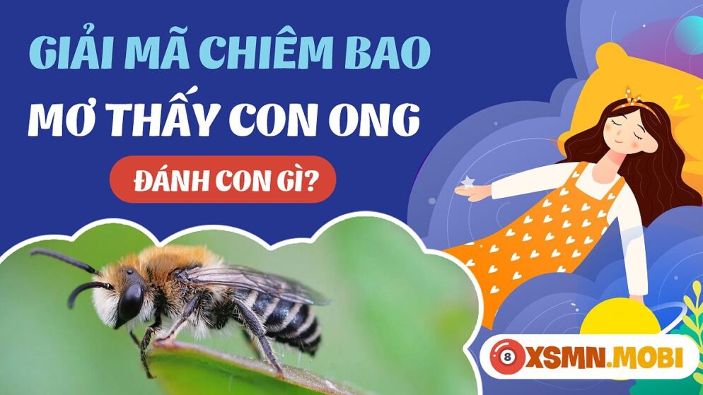 Nằm Mơ Thấy Ong Đánh Con Gì? Khám Phá Ý Nghĩa Sâu Sắc Của Giấc Mơ