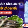 Nằm Mơ Thấy Rắn Bò Vào Nhà Đánh Con Gì? Giải Mã Giấc Mơ Và Con Số May Mắn