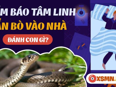 Nằm Mơ Thấy Rắn Bò Vào Nhà Đánh Con Gì? Giải Mã Giấc Mơ Và Con Số May Mắn