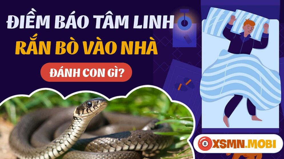 Nằm Mơ Thấy Rắn Bò Vào Nhà Đánh Con Gì? Giải Mã Giấc Mơ Và Con Số May Mắn