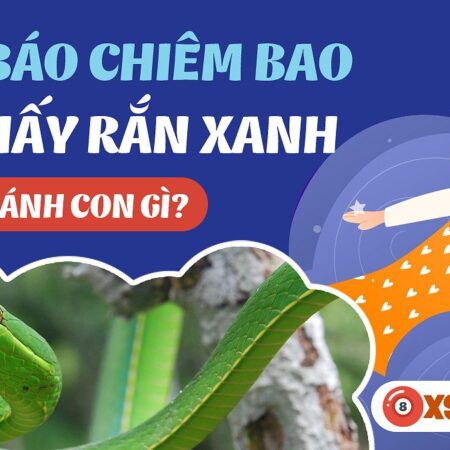 Nằm Mơ Thấy Rắn Xanh Đánh Con Gì? Khám Phá Bí Ẩn Giấc Mơ Và Số May Mắn