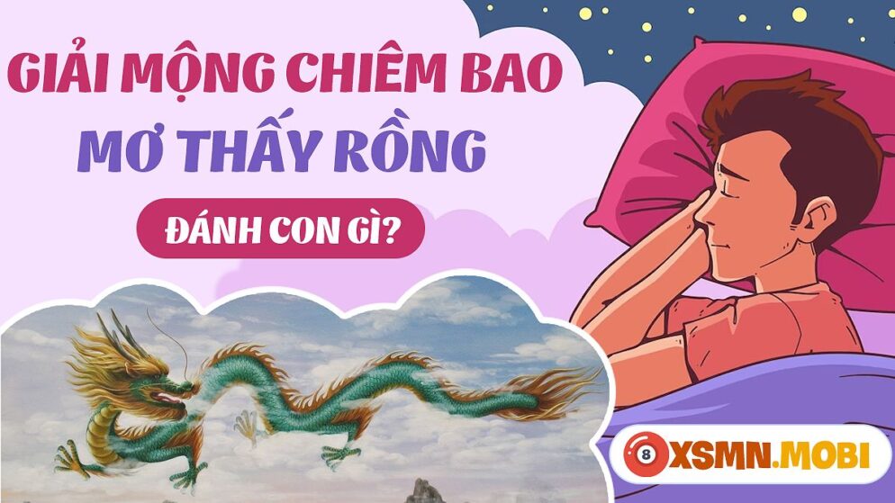 Nằm Mơ Thấy Rồng Đánh Con Gì? Khám Phá Bí Ẩn Giấc Mơ Và Con Số May Mắn