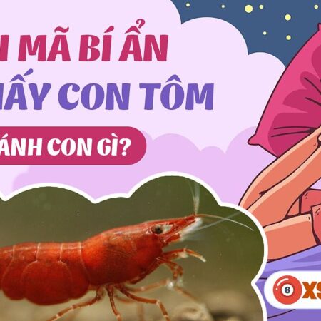 Nằm Mơ Thấy Tôm Đánh Con Gì? Khám Phá Bí Ẩn Giấc Mơ Và Con Số May Mắn