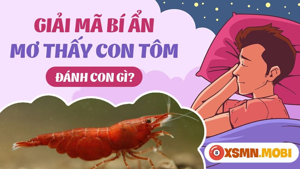 Nằm Mơ Thấy Tôm Đánh Con Gì? Khám Phá Bí Ẩn Giấc Mơ Và Con Số May Mắn