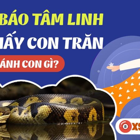 Nằm Mơ Thấy Trăn Đánh Số Gì? Giải Mã Giấc Mơ Và Con Số May Mắn