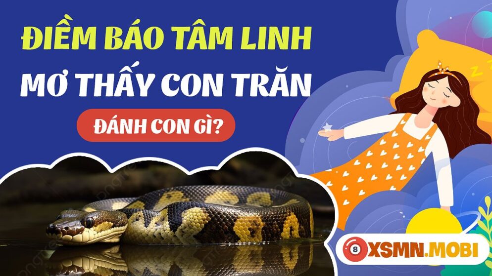 Nằm Mơ Thấy Trăn Đánh Số Gì? Giải Mã Giấc Mơ Và Con Số May Mắn
