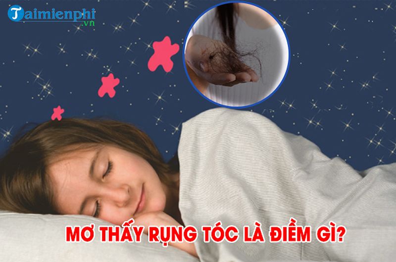 Nỗi sợ hói đầu