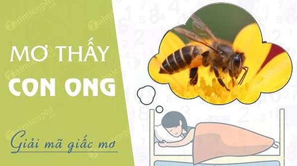 Ong đốt trong giấc mơ