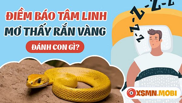 Rắn vàng đuổi theo