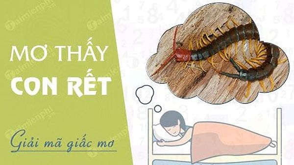 Rết bò vào nhà: Mâu thuẫn trong gia đình