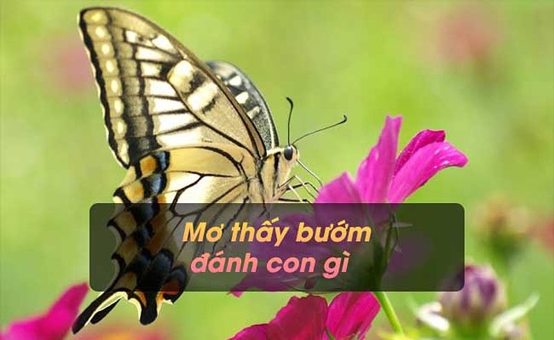 Tự yêu bản thân