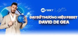 F8BET – Nền tảng cá cược hàng đầu dành cho người yêu thể thao