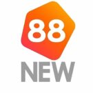NEW88 – Nhà cái uy tín hàng đầu, cá cược an toàn, minh bạch